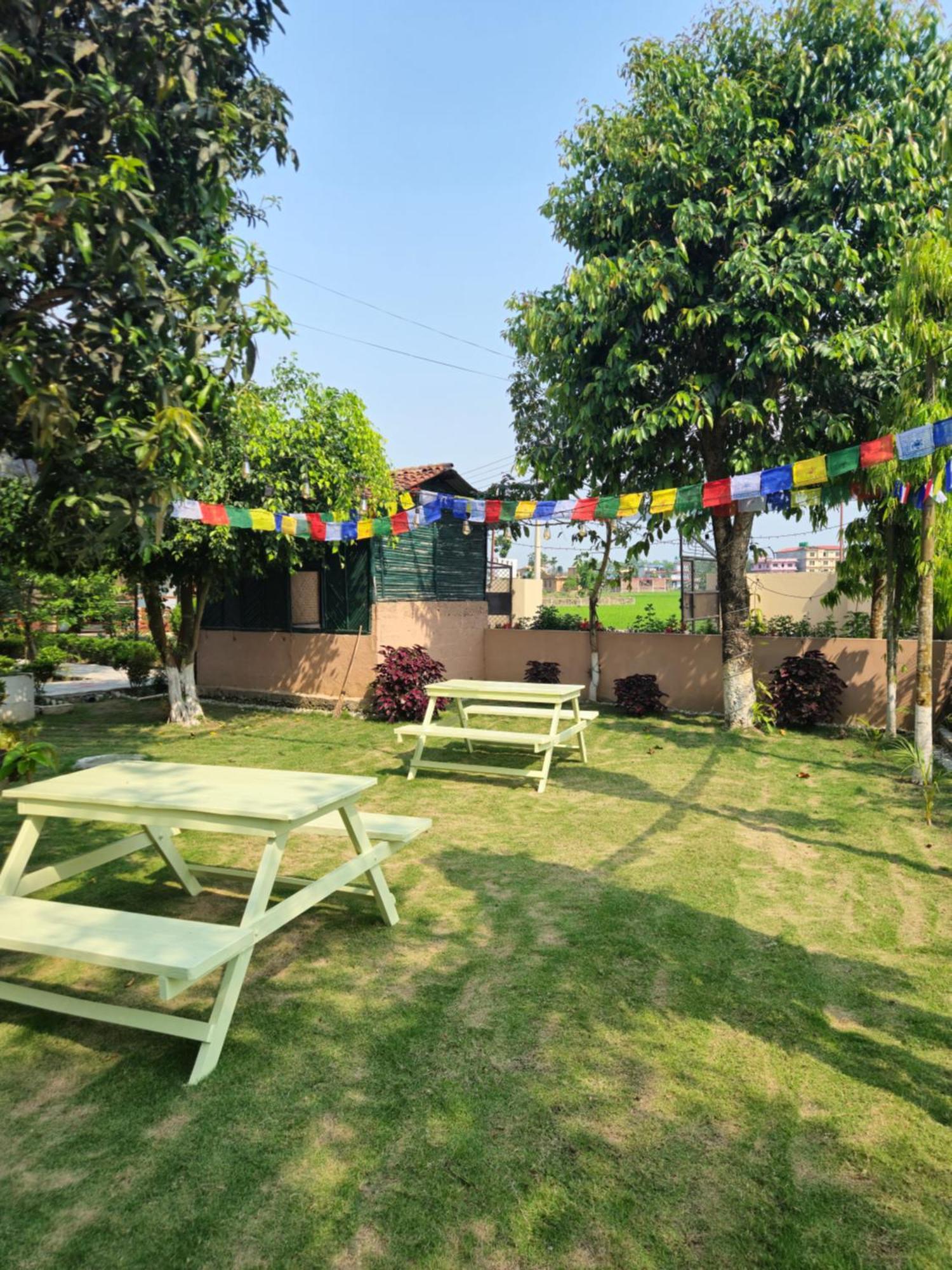 Hotel Tree Tops- A Serene Friendly Hotel In Sauraha Chitwan Buitenkant foto