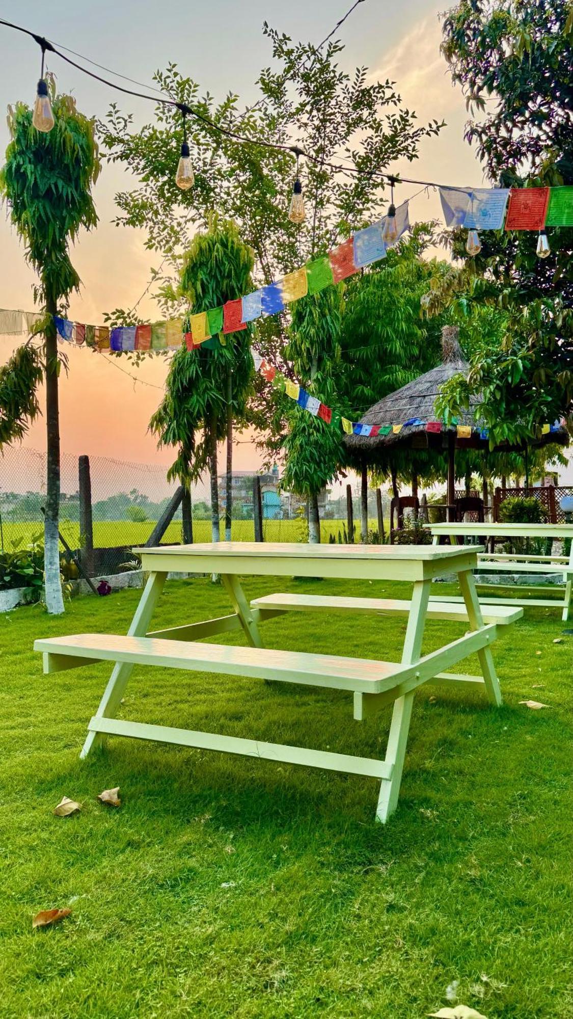 Hotel Tree Tops- A Serene Friendly Hotel In Sauraha Chitwan Buitenkant foto